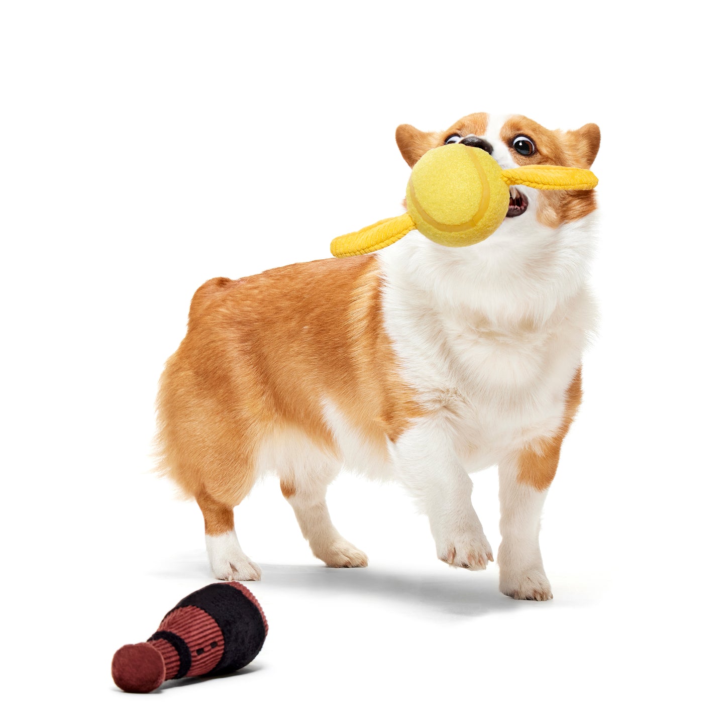 BARK X Harry Potter Quidditch Set Dog Toy