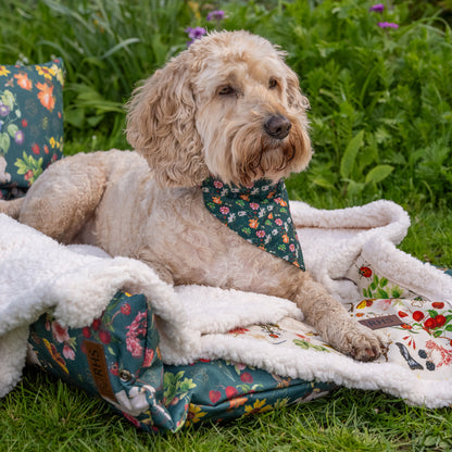 Royal Horticultural Society Pets in the Garden Printed Sherpa Blanket