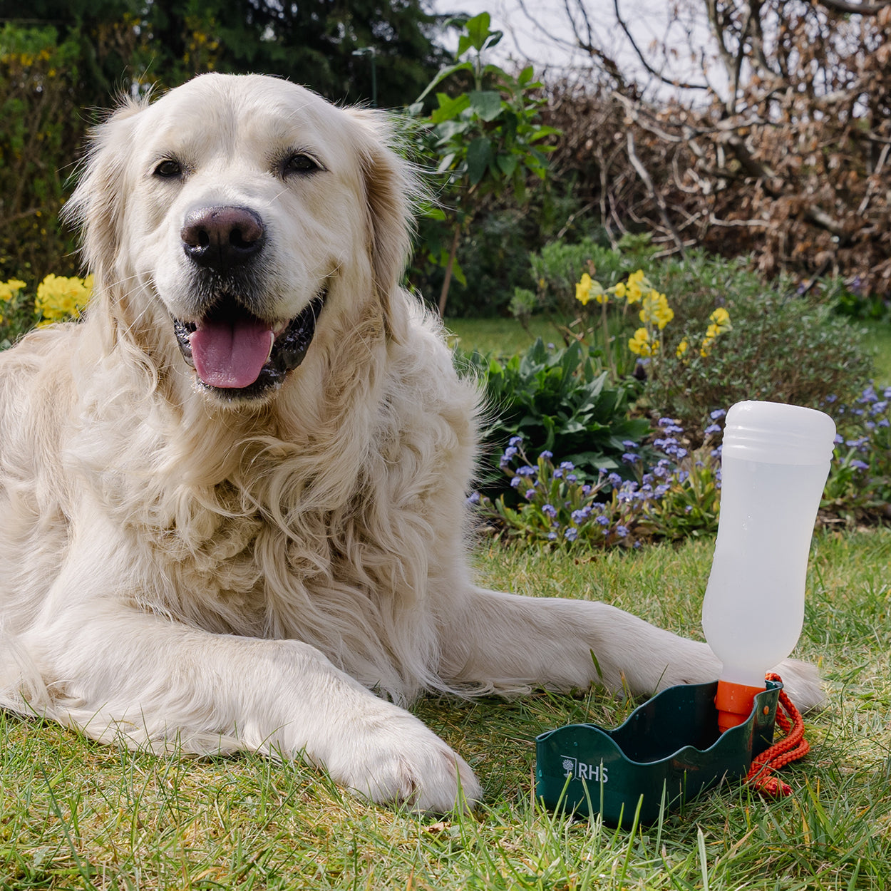 Royal Horticultural Society Pets in the Garden Travel Bottle