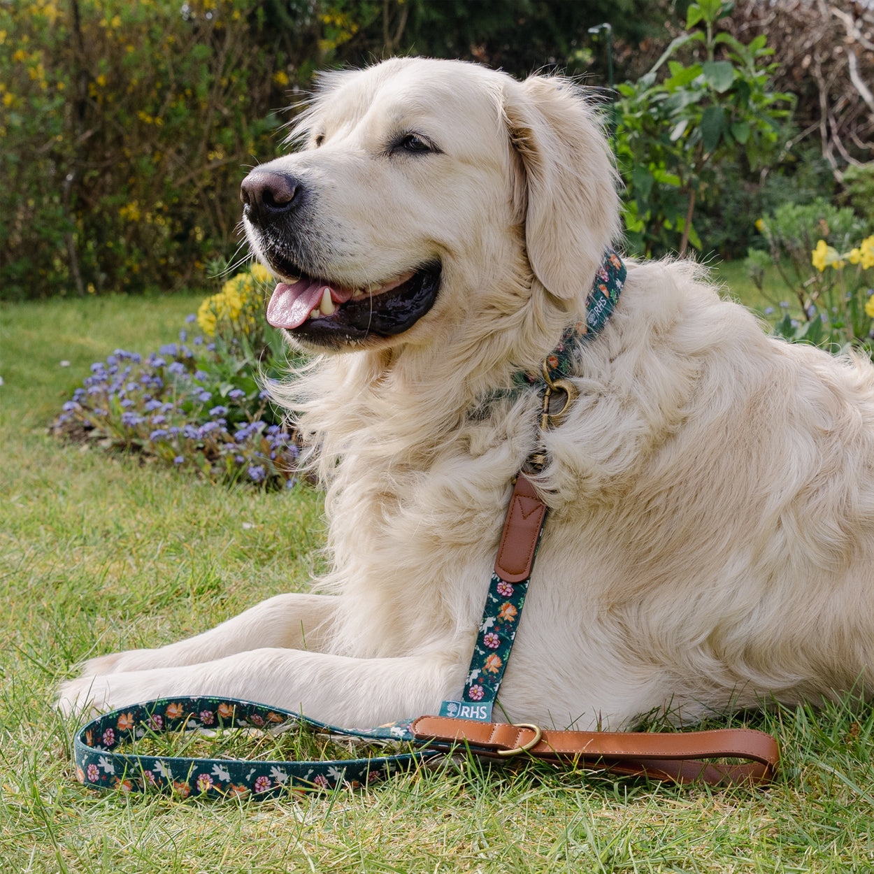 Royal Horticultural Society Pets in the Garden Printed Lead