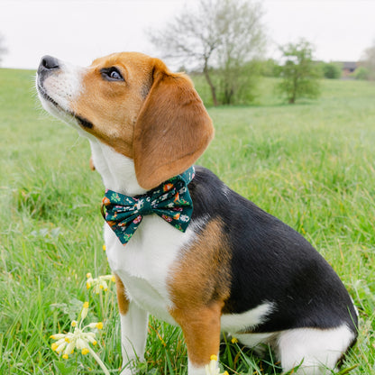 Royal Horticultural Society Pets in the Garden Bow Tie