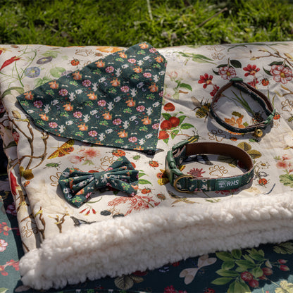 Royal Horticultural Society Pets in the Garden Bow Tie