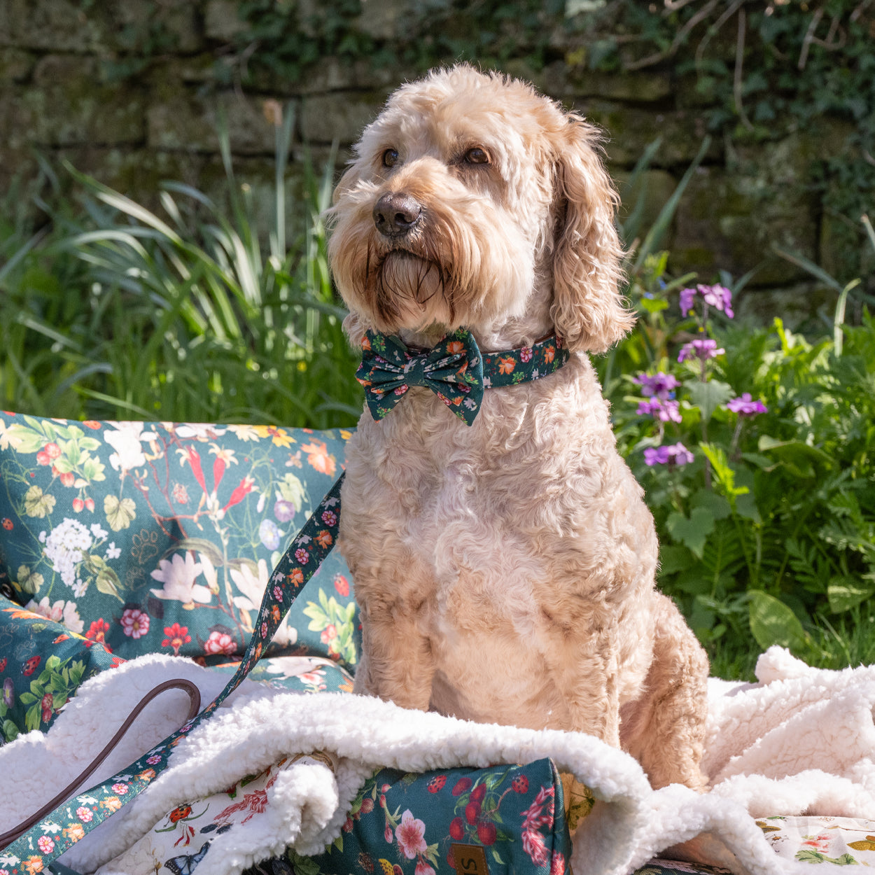 Royal Horticultural Society Pets in the Garden Bow Tie