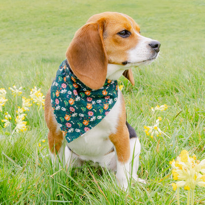 Royal Horticultural Society Pets in the Garden Reversible Bandana