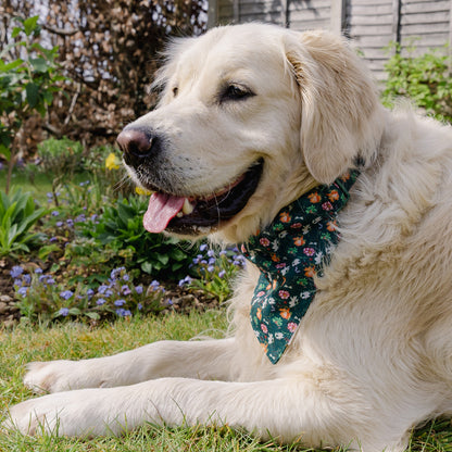 Royal Horticultural Society Pets in the Garden Reversible Bandana