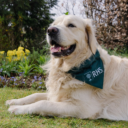Royal Horticultural Society Pets in the Garden Reversible Bandana