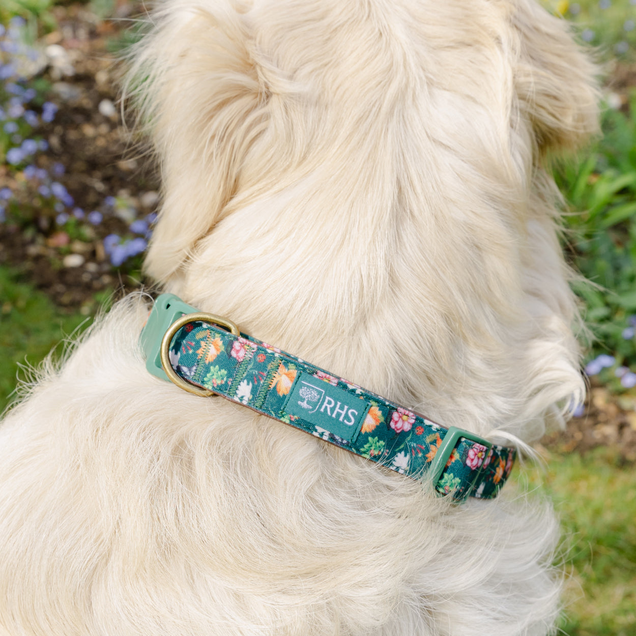 Royal Horticultural Society Pets in the Garden Dog Collar