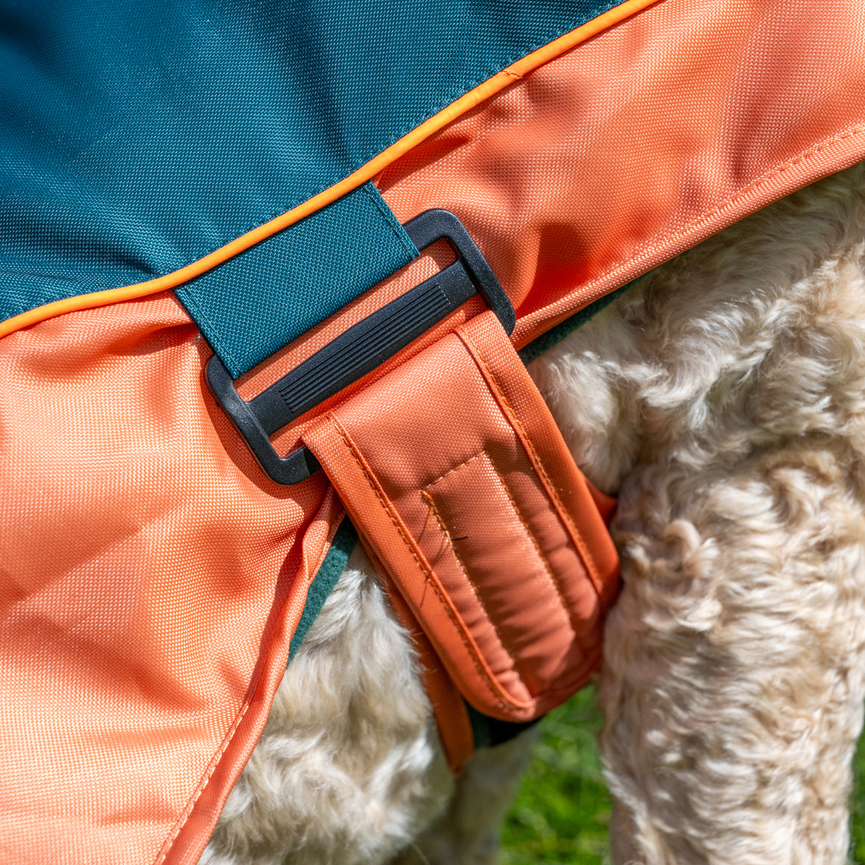Royal Horticultural Society Pets in the Garden Water Resistant Coat