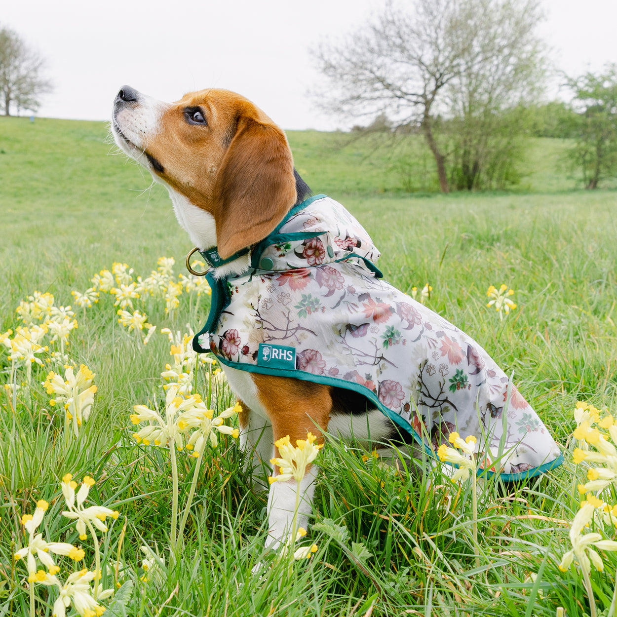 Royal Horticultural Society Pets in the Garden Waterproof Raincoat