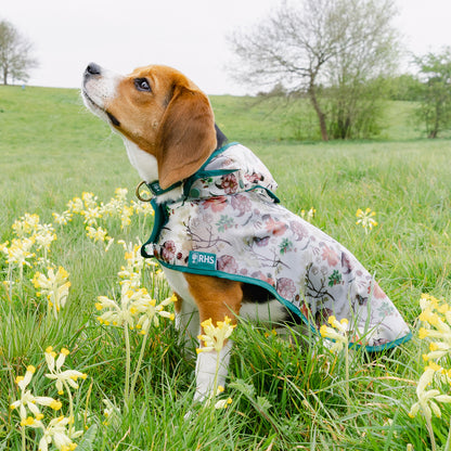 Royal Horticultural Society Pets in the Garden Waterproof Raincoat