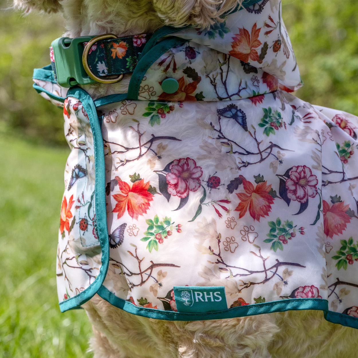 Royal Horticultural Society Pets in the Garden Waterproof Raincoat