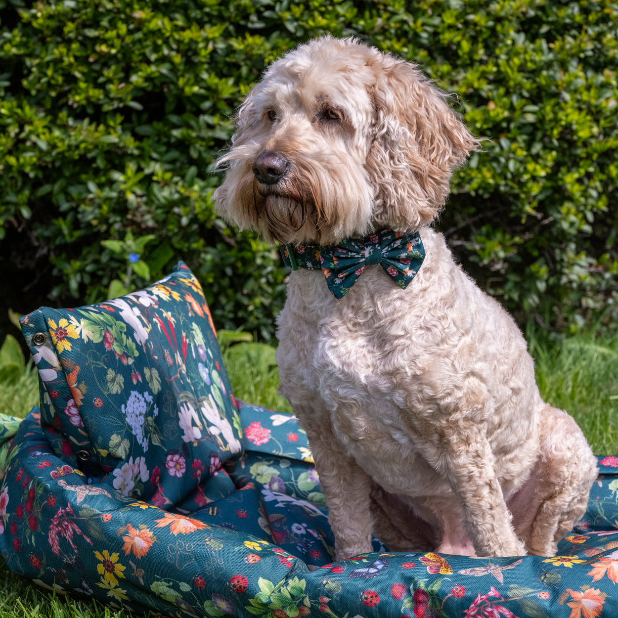 Royal Horticultural Society Pets in the Garden Bow Tie & Bandana Set