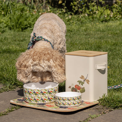 Royal Horticultural Society Pets in the Garden Ceramic Bowl Twin Pack | Small/Medium
