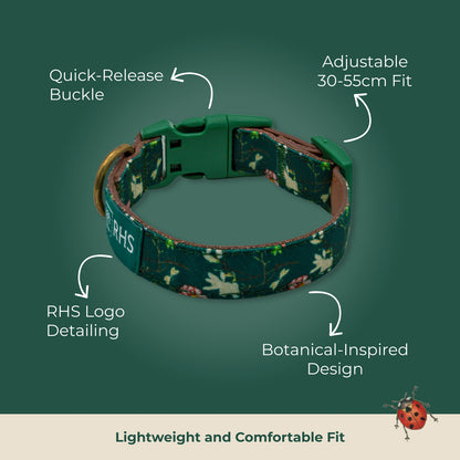 Royal Horticultural Society Pets in the Garden Dog Collar & Lead Set | Medium