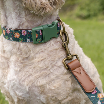Royal Horticultural Society Pets in the Garden Dog Collar & Lead Set | Medium