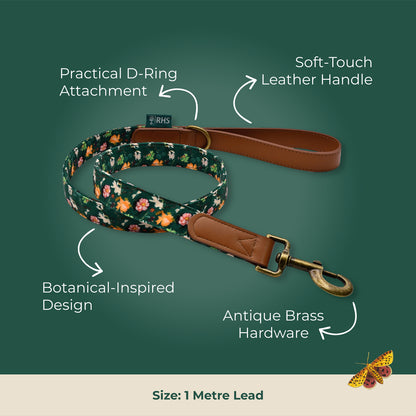 Royal Horticultural Society Pets in the Garden Dog Collar & Lead Set | Small