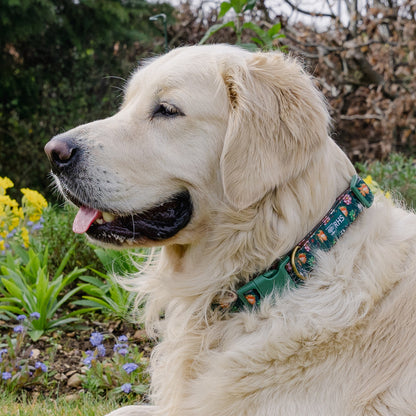 Royal Horticultural Society Pets in the Garden Dog Collar & Lead Set | Small