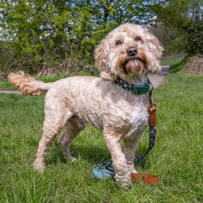 Royal Horticultural Society Pets in the Garden Dog Collar & Lead Set | Small