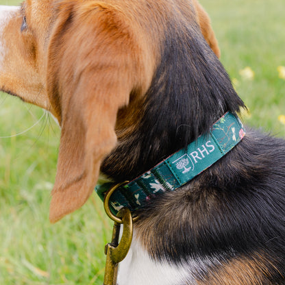 Royal Horticultural Society Pets in the Garden Dog Collar & Lead Set | Small