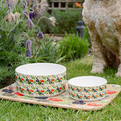 Royal Horticultural Society Pets in the Garden Feeding Set | Large/Extra-Large