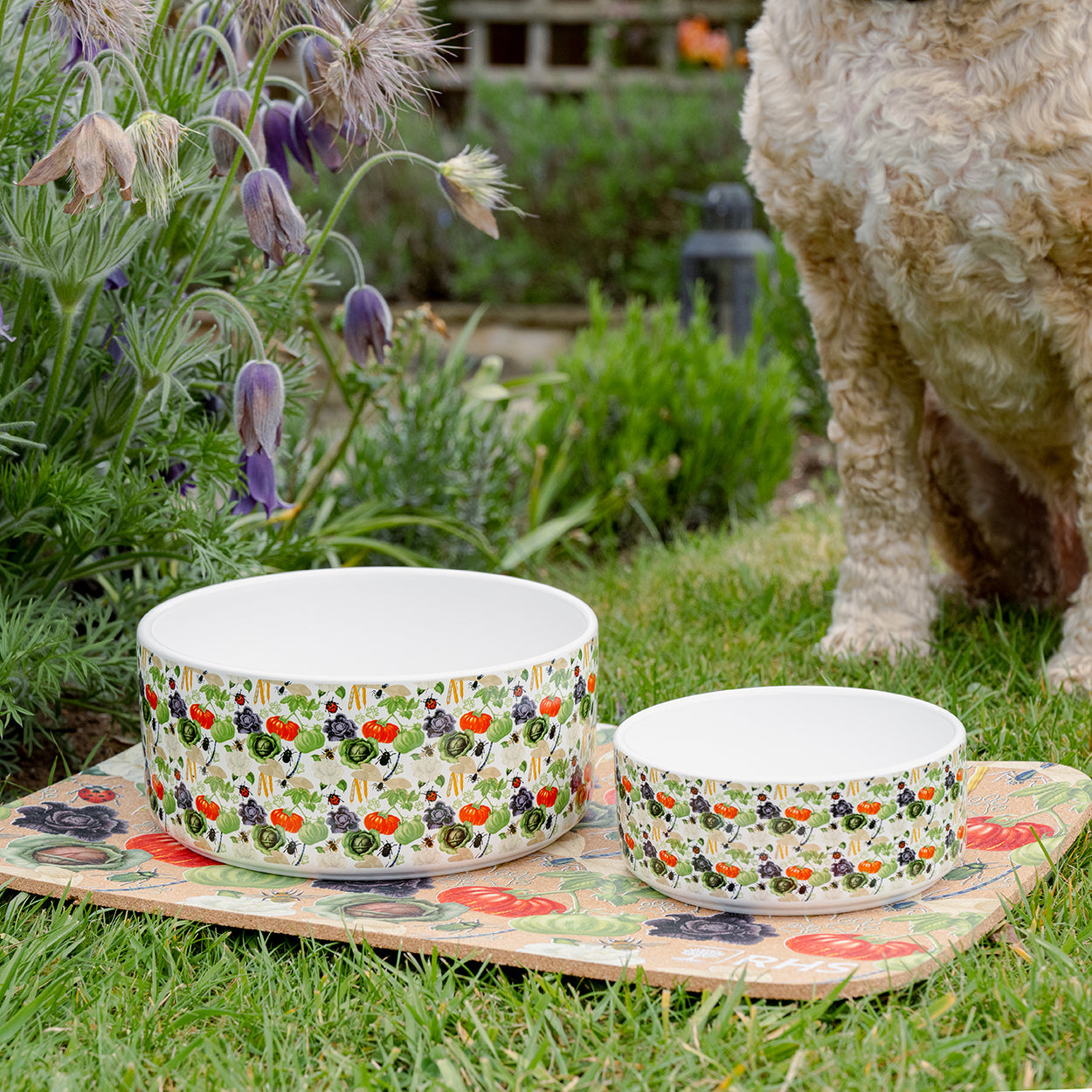 Royal Horticultural Society Pets in the Garden Feeding Set | Small/Medium