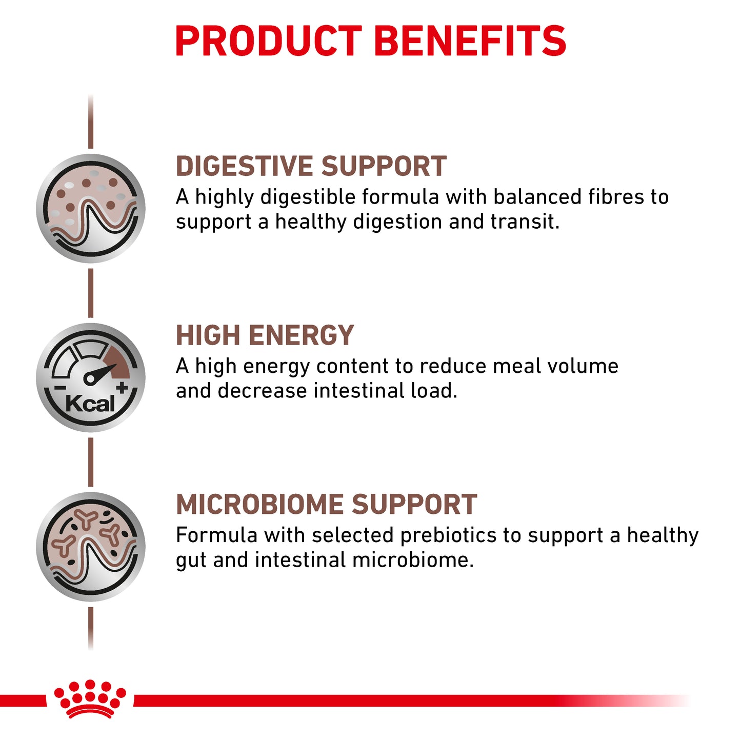 Royal Canin Gastrointestinal Thin Slices in Gravy Adult Wet Cat Food 12 x 85g