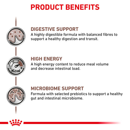 Royal Canin Gastrointestinal Thin Slices in Gravy Adult Wet Cat Food 12 x 85g