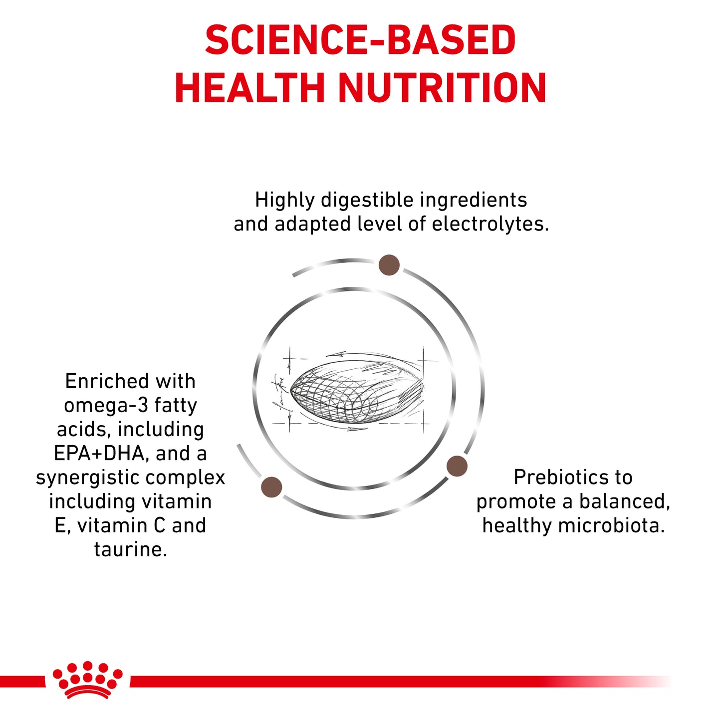 Royal Canin Gastrointestinal Hairball Adult Dry Cat Food