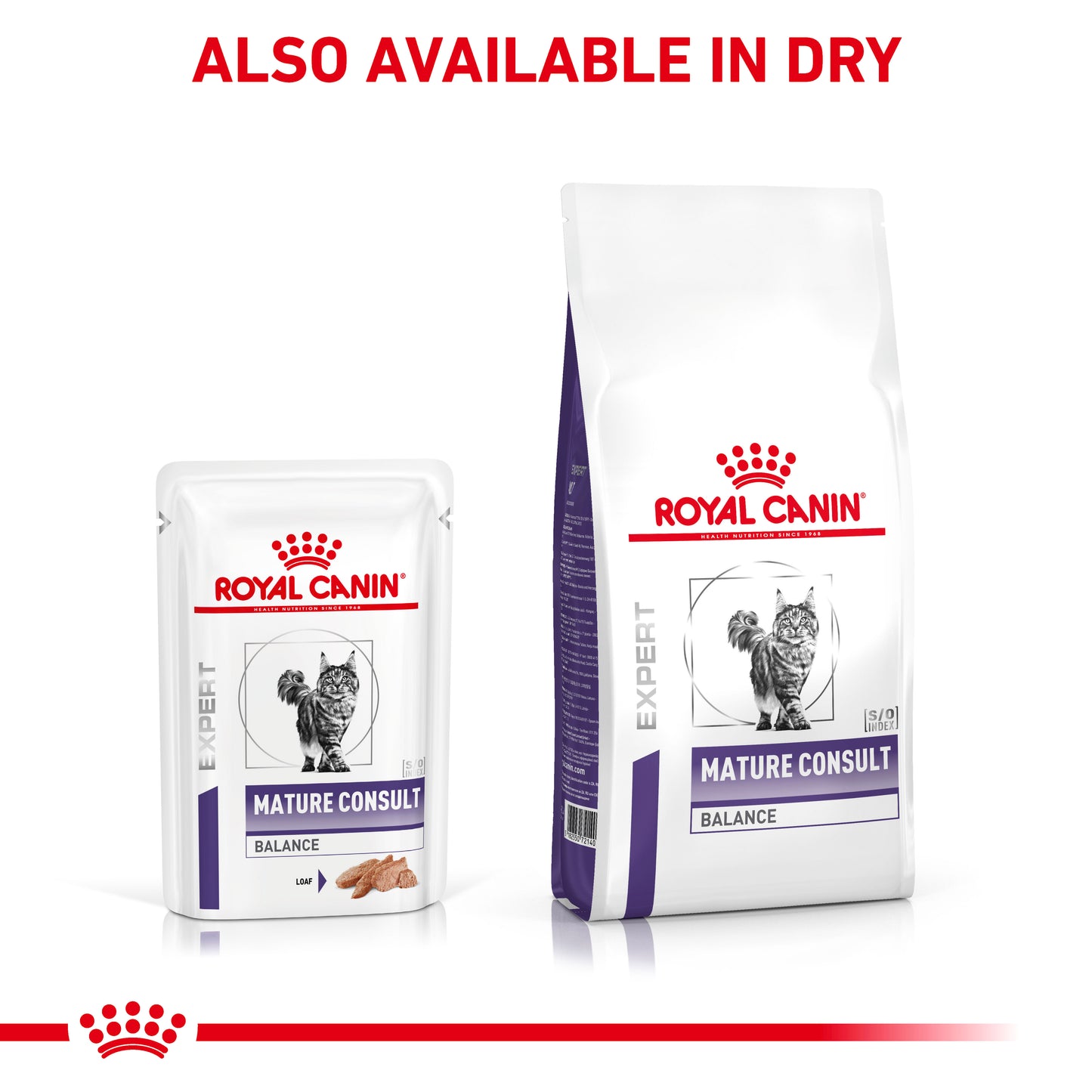 Royal Canin Mature Consult Balance Loaf Senior Wet Cat Food 12 x 85g