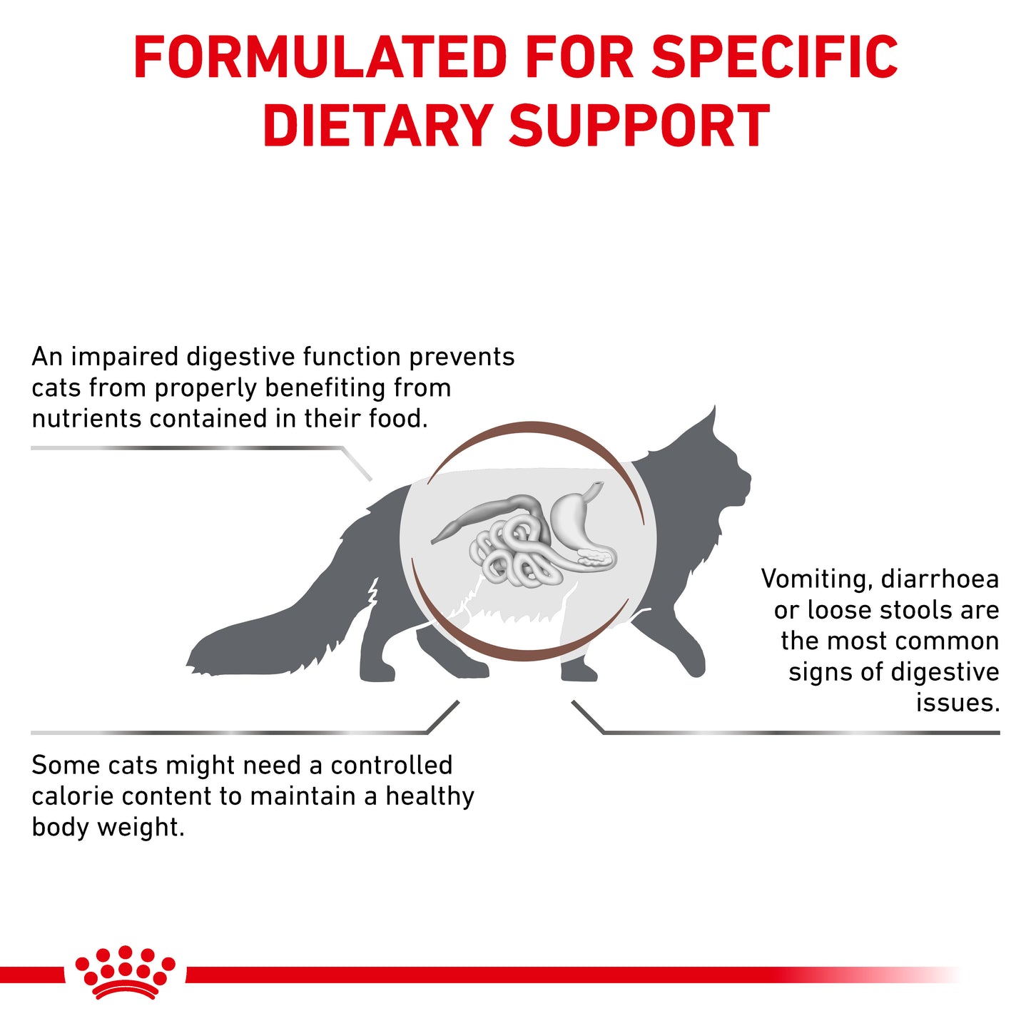 Royal Canin Gastrointestinal Moderate Calorie Adult Dry Cat Food