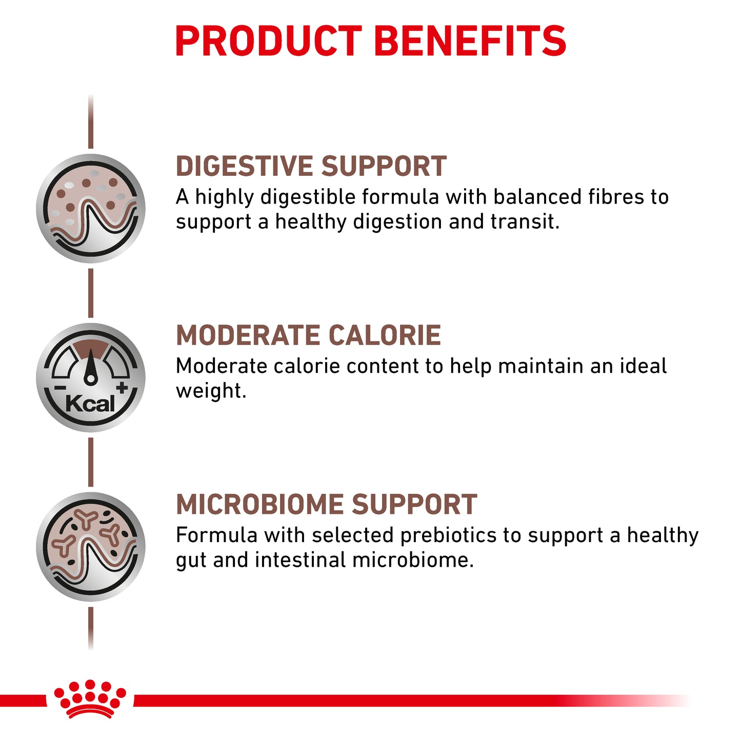 Royal Canin Gastrointestinal Moderate Calorie Thin Slices in Gravy Adult Wet Cat Food 12 x 85g