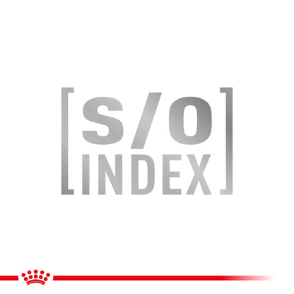 Royal Canin Gastrointestinal Fibre Response Adult Dry Cat Food