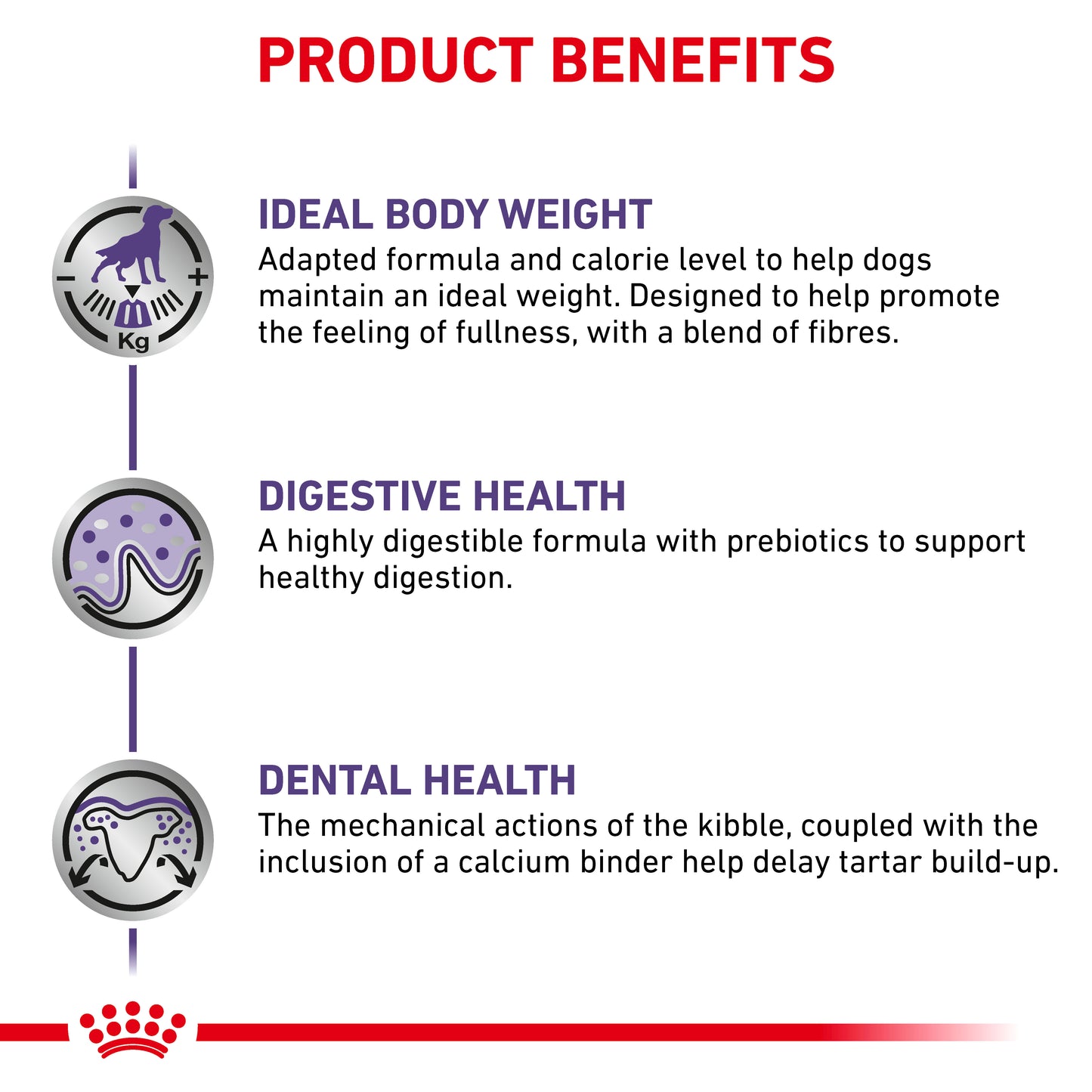 Royal Canin Neutered Adult Small Dog Adult Dry Dog Food
