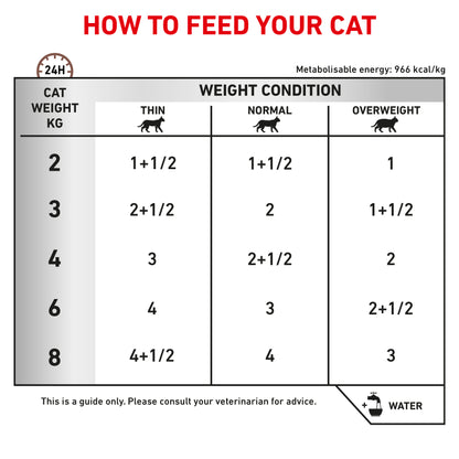 Royal Canin Gastrointestinal Thin Slices in Gravy Adult Wet Cat Food 12 x 85g