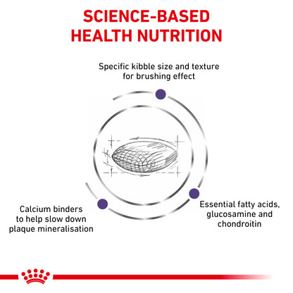 Royal Canin Dental Medium & Large Dog Adult Dry Dog Food