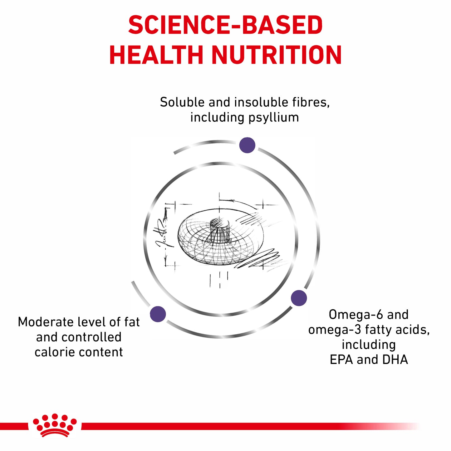 Royal Canin Neutered Adult Medium Dog Adult Dry Dog Food