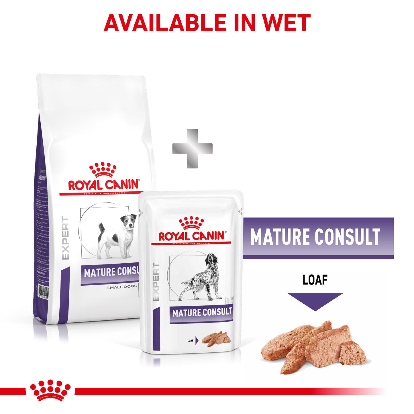 Royal Canin Mature Consult Small Dog Senior Dry Dog Food