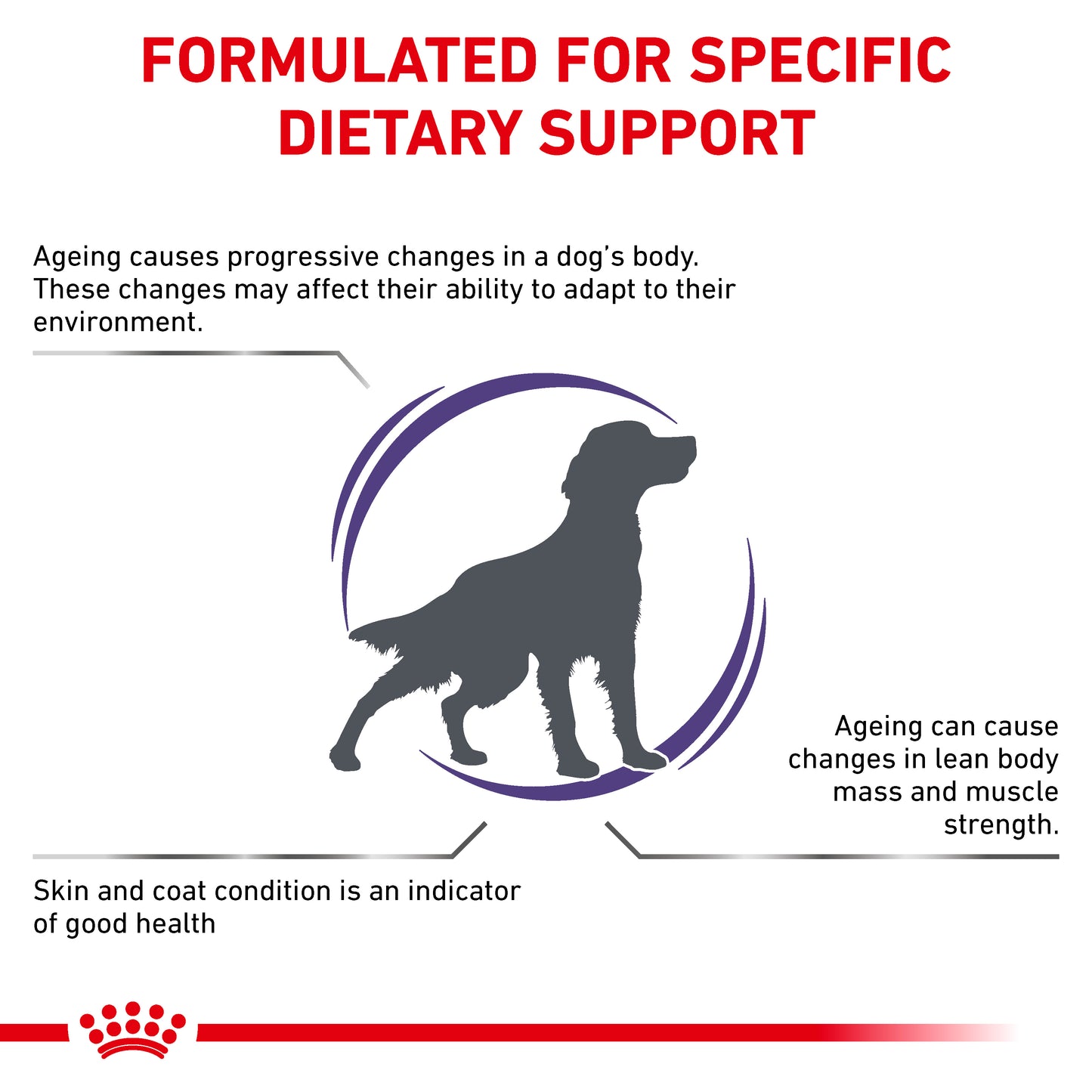 Royal Canin Mature Consult Medium Dog Senior Dry Dog Food
