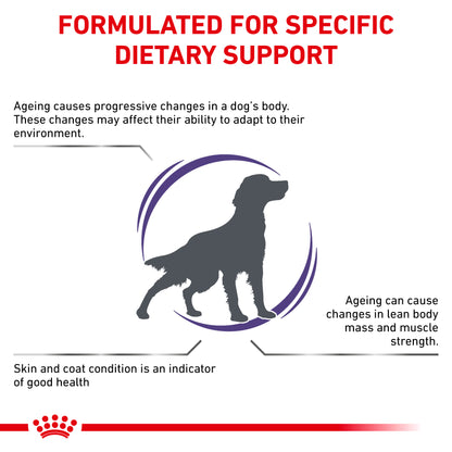 Royal Canin Mature Consult Medium Dog Senior Dry Dog Food