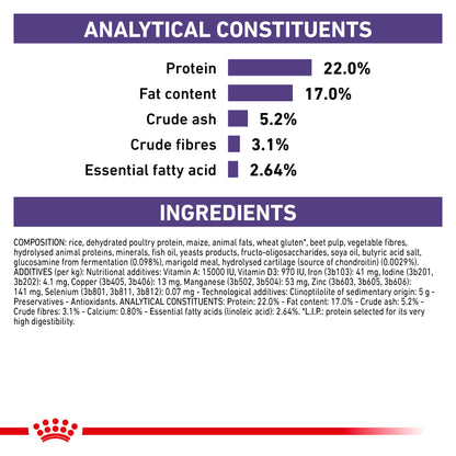 Royal Canin Dental Medium & Large Dog Adult Dry Dog Food