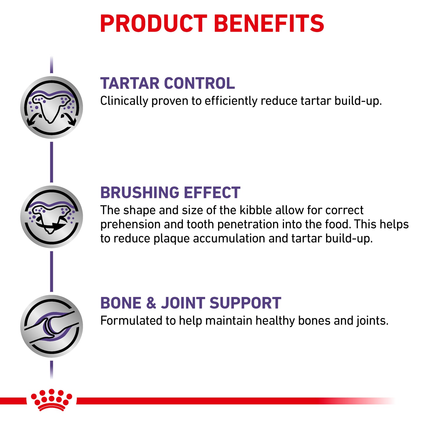 Royal Canin Dental Medium & Large Dog Adult Dry Dog Food