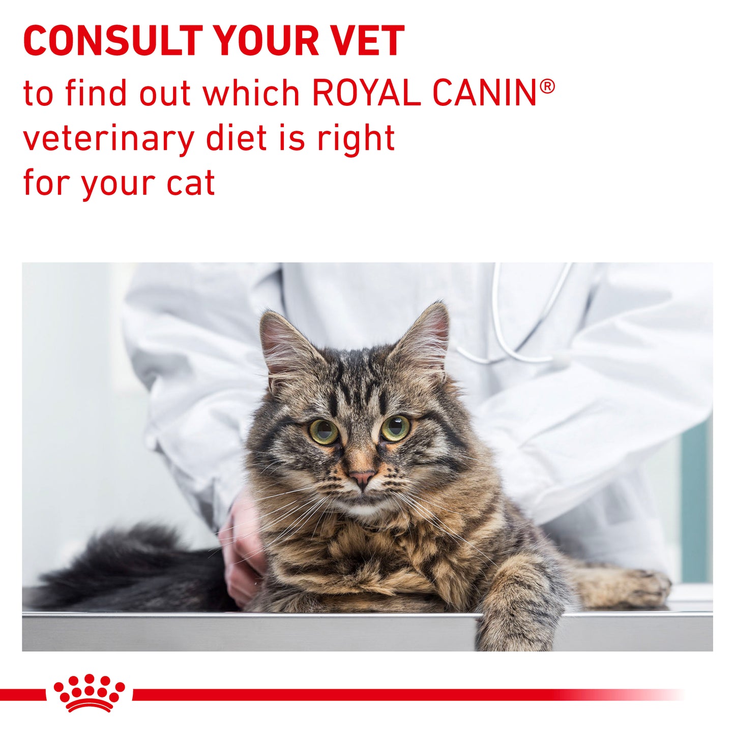 Royal Canin Mature Consult Balance Loaf Senior Wet Cat Food 12 x 85g