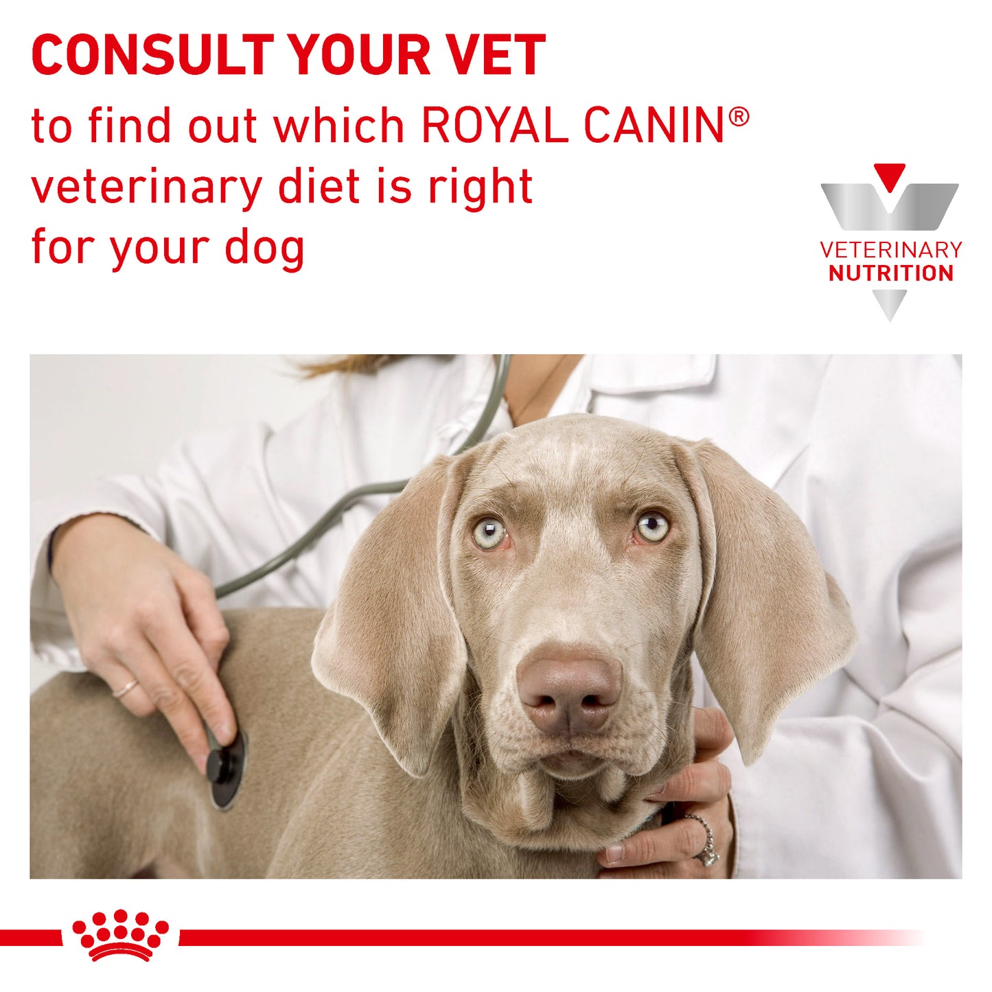 Royal Canin Gastrointestinal Moderate Calorie Adult Dry Dog Food