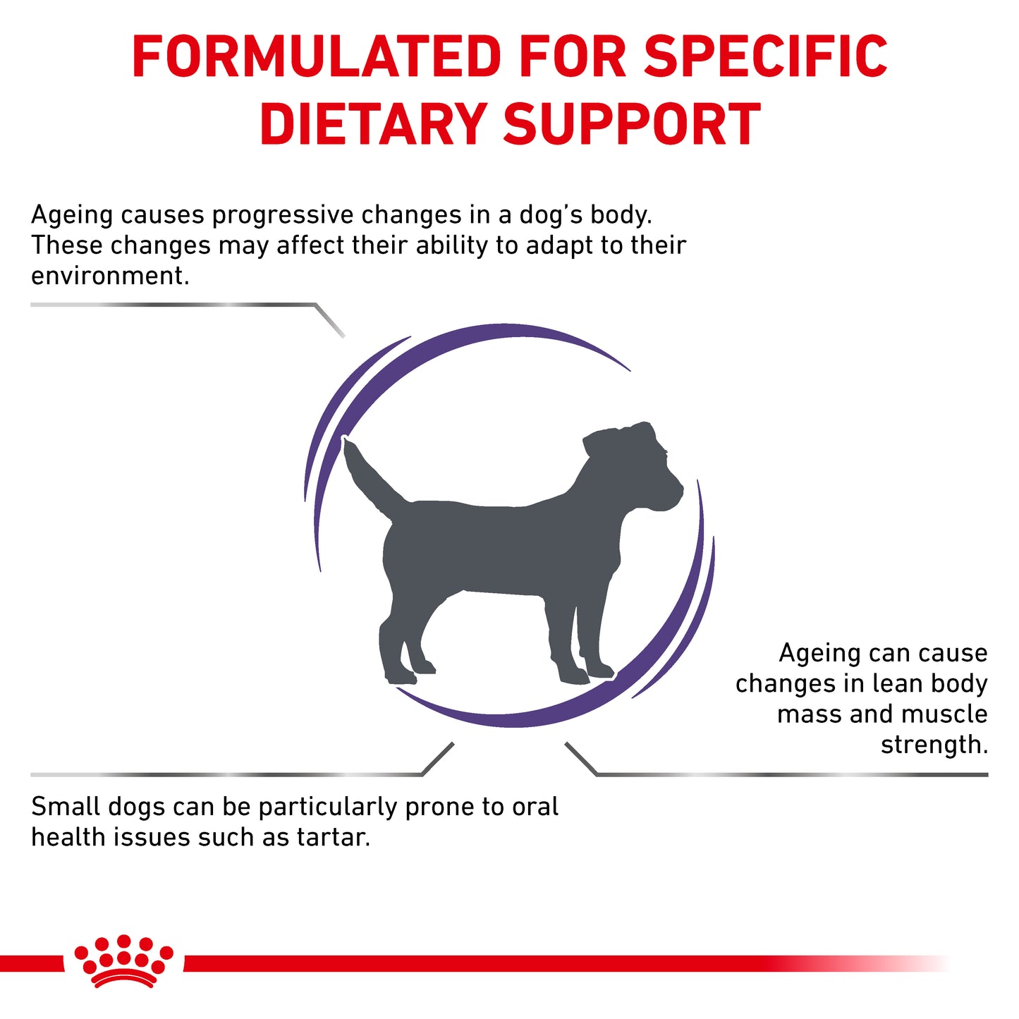 Royal Canin Mature Consult Small Dog Senior Dry Dog Food