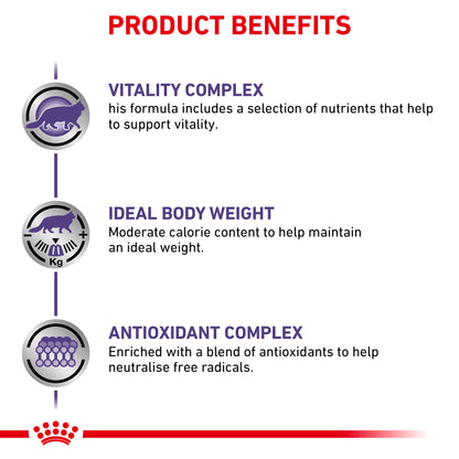 Royal Canin Mature Consult Balance Loaf Senior Wet Cat Food 12 x 85g