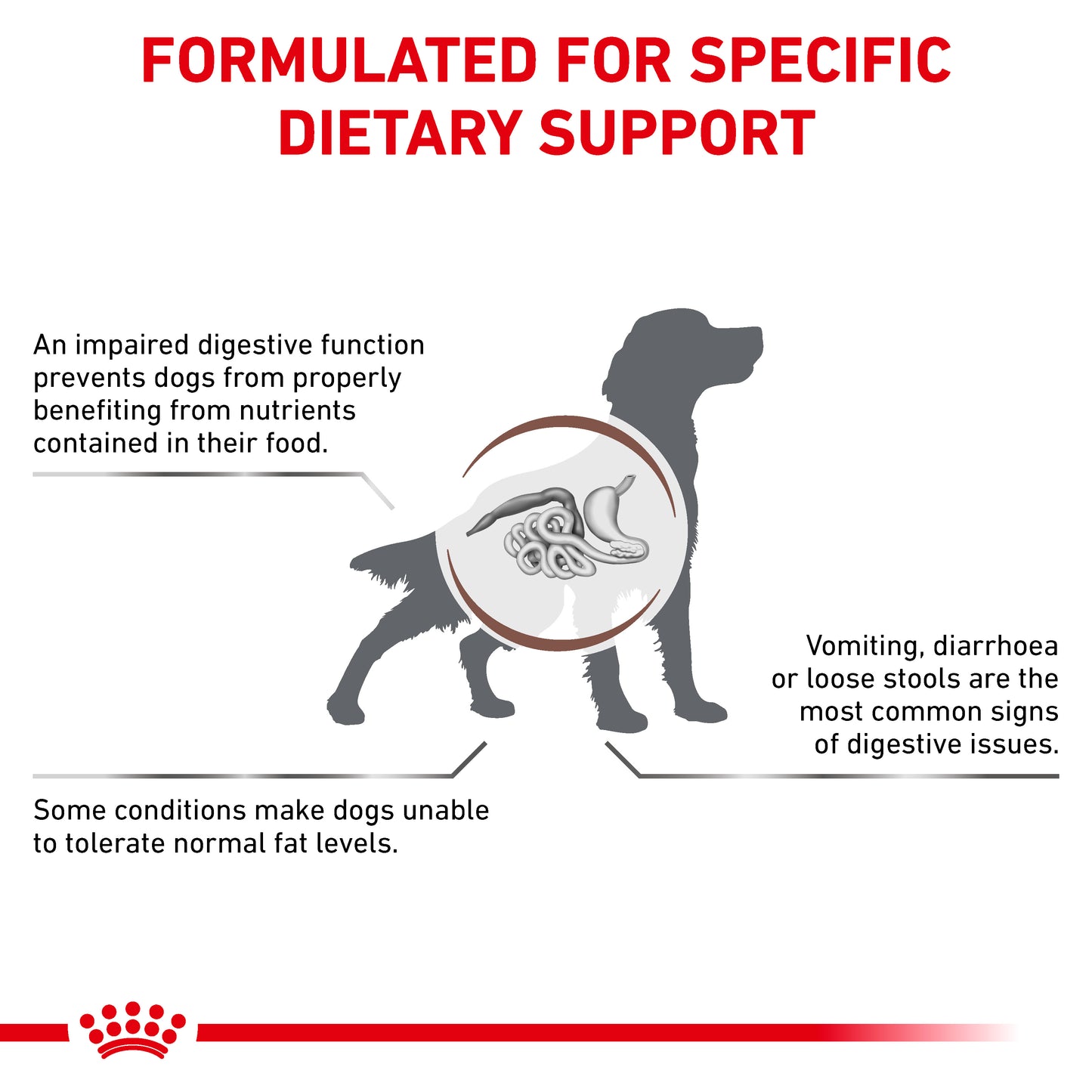 Royal Canin Gastrointestinal Low Fat Loaf Adult Wet Dog Food 12 x 420g
