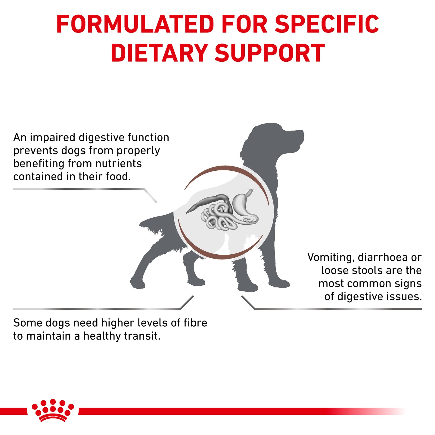 Royal Canin Gastrointestinal High Fibre Loaf Adult Wet Dog Food 12 x 410g