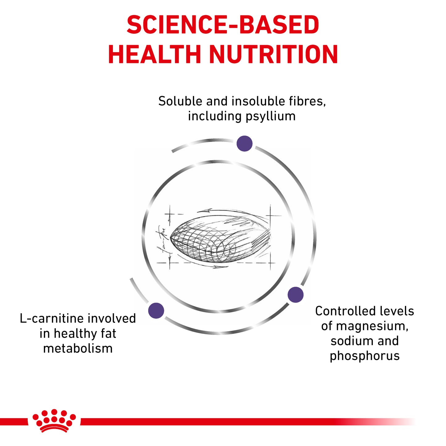 Royal Canin Neutered Satiety Balance Adult Dry Cat Food