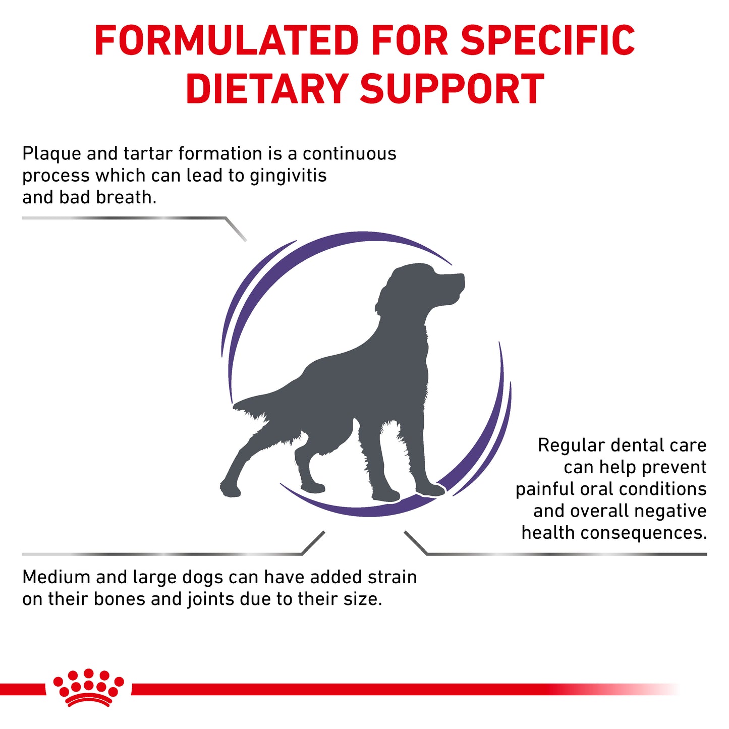 Royal Canin Dental Medium & Large Dog Adult Dry Dog Food