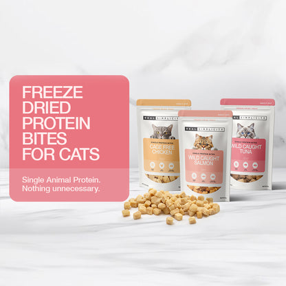 Real Simplicity Freeze Dried Single Protein Treat Bundle